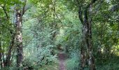 Tour Wandern Plateau-des-Petites-Roches - Cascade du Douix - Photo 9