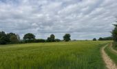 Percorso Marcia Arlon - Balisage GR 15   Guirsch -Tontelange - Photo 4