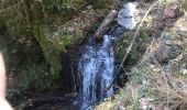 Tocht Stappen Urmatt - Lutzelhouse Rosinen Fels , cascade,séquoia  - Photo 10