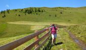 Tocht Stappen Lüsen - Luson - Lüsner Alm - Sommet du Campill - Photo 5