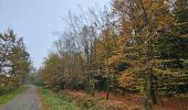 Percorso Marcia Spa - Fagne de Malchamps  & Bois des Minières  - Photo 2