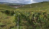 Tour Wandern Germaine - RP51-02 Les Haies à Mardeuil - Photo 12