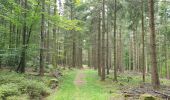 Trail Walking Grandfontaine - Positions fortifiées du Donon sentier des casemates - sud - Photo 9