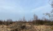 Tocht Stappen Waimes - Baraque Michele  - Photo 2