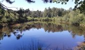 Trail Walking Spa - grand tour de la fagne de malchamps - Photo 2