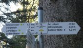 Tocht Te voet Unknown - Am Froschbach - Am Urbach - Photo 2