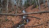 Tour Wandern Les Deux Alpes - Le Garcin- Le Ponteil- Bons- La porte Romaine - Photo 5