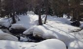 Trail Snowshoes Entraunes - cabanes de sanguinieres et roche trouée - Photo 3