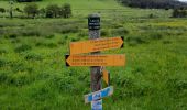 Tocht Stappen Le Saix - lac Peyssier - Photo 2