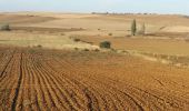 Tour Wandern Cervatos de la Cueza - San Nicolas  - Photo 5