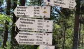 Trail On foot Bad Peterstal-Griesbach - Wiesensteig - Photo 9