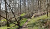 Trail Walking Dinant - Dinant - Anseremme - Photo 15