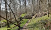 Tour Wandern Dinant - Dinant - Anseremme - Photo 15