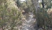 Trail Walking Le Perthus - palissades.  la carboniere . fort de bellegrade . panissars - Photo 9