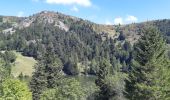 Randonnée Marche Le Valtin - Lac Vert - Lac du Forlet - Gazon du Faing - Photo 15