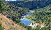 Trail Walking Berrias-et-Casteljau - Les gorges de Chassezac - Photo 5