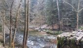 Trail Walking Thiéfosse - gorges de Crosery  - Photo 4