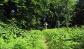 Tour Wandern Morienval - en forêt de Compiègne_37_les Tournantes des Petits Monts (sur et sous) - Photo 12