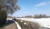Randonnée Marche Theux - ferme haut marais . vert Buisson . croix papet . les cours . farineux  - Photo 4
