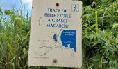 Tocht Stappen Le Vauclin - Boucle Macabou via Morne Flambeau - Photo 14