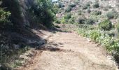 Tocht Trail ביתר עילית - Husan WHP - Photo 7