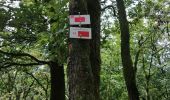 Trail Walking Bouillon - Corbion - Promenade des 3 légendes (version longue)  - Photo 9
