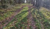 Tocht Stappen Marcilly-en-Beauce - Varennes - Photo 15