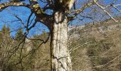 Tocht Te voet Saint-Gervais - Le Rivet ou la ferme des Ecouges - Photo 18