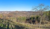 Tocht Te voet Gremiasco - Serra del Monte - Fabbrica Curone - Photo 10