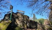 Trail Walking Ottrott - Mont Sainte-Odile - Tour du mur Païen - Photo 8