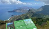 Tour Wandern Nuku Hiva - TOOVII - Photo 4