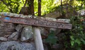 Trail Walking Saint-Martin-de-l'Arçon - le Caroux - Photo 3
