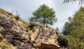 Percorso A piedi Peio - Sentiero della Val Cadini - Photo 10