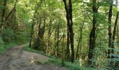 Trail Walking Rovon - Pied Aigu - Photo 4