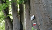 Tour Wandern Verviers - cailloux--fête des mères  - Photo 4