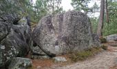 Trail Walking Fontainebleau - Fontainebleau - Sentier des carriers - Photo 7