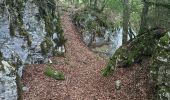 Trail Walking Saint-Laurent-en-Royans - Pont des Chartreux st Laurent en Royans  - Photo 9