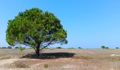 Trail Walking Saint-Cyprien - st cyprien de merde - Photo 8