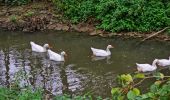 Tocht Stappen Tubeke - Balade à Tubize - Photo 3