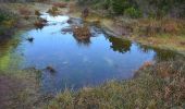 Tour Wandern Puget-sur-Argens - Puget-sur-Argens - Les Terres Gastes - Photo 7