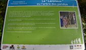 Tour Wandern Thimister-Clermont - 20240803 - TOTEMUS THIMISTER-CLERMONT - 6.5 Km - Photo 20