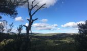 Randonnée Marche Vauvenargues - Sainte-Victoire (accès par Vauvenargues et GR9) - Photo 16