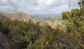 Trail Walking Les Trois-Îlets - Anse à l Ane, anse Mitan par le morne - Photo 1