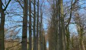Trail Walking Herent - S-GR Dijleland : Veltem - Tervuren - Photo 10
