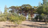 Randonnée Marche Δήμος Αγλαντζιάς - athalassa/ chemins de traverses - Photo 1