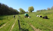 Tour Wandern Chaumont-Gistoux - #210427 - Longueville, Hèze et Petit Hacquedeau - Photo 10