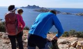 Trail Walking Marseille - Callelongue les trois arches - Photo 6