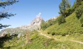 Tocht Stappen Chamonix-Mont-Blanc - Aiguillette des Posettes - Photo 19