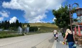 Trail Walking Feldberg - Feldsee & Feldberg Mai 2025 - Photo 14