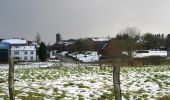 Tour Zu Fuß Marche-en-Famenne - 11. Promenade Linaigrette - variante - Photo 4